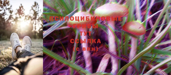 соль курить ск Абаза